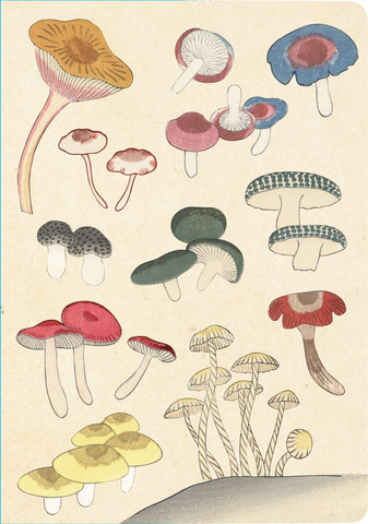 Healing Mushrooms Lined Paperback Journal