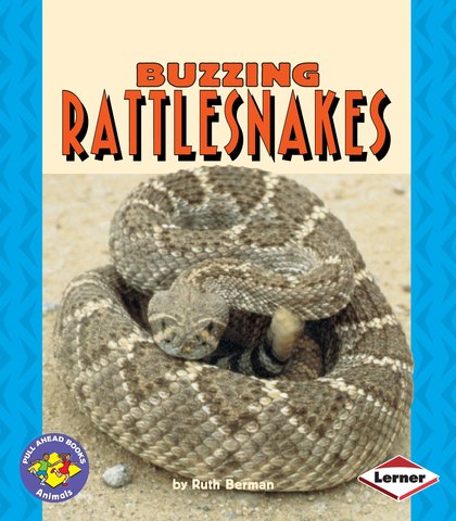 Buzzing Rattlesnakes