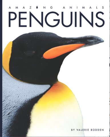 Amazing Animals: Penguins
