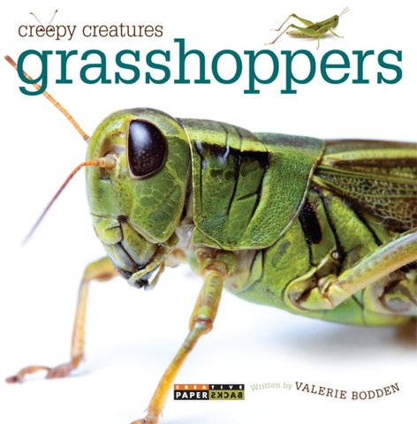 Creepy Creatures: Grasshoppers