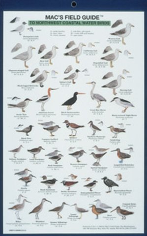 Mac's Field Guides: Northwest Coast Water Birds