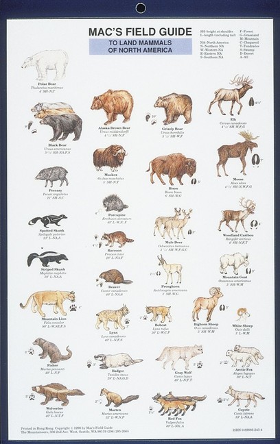 Mac's Field Guides: North American Land Mammals