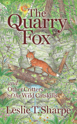 The Quarry Fox
