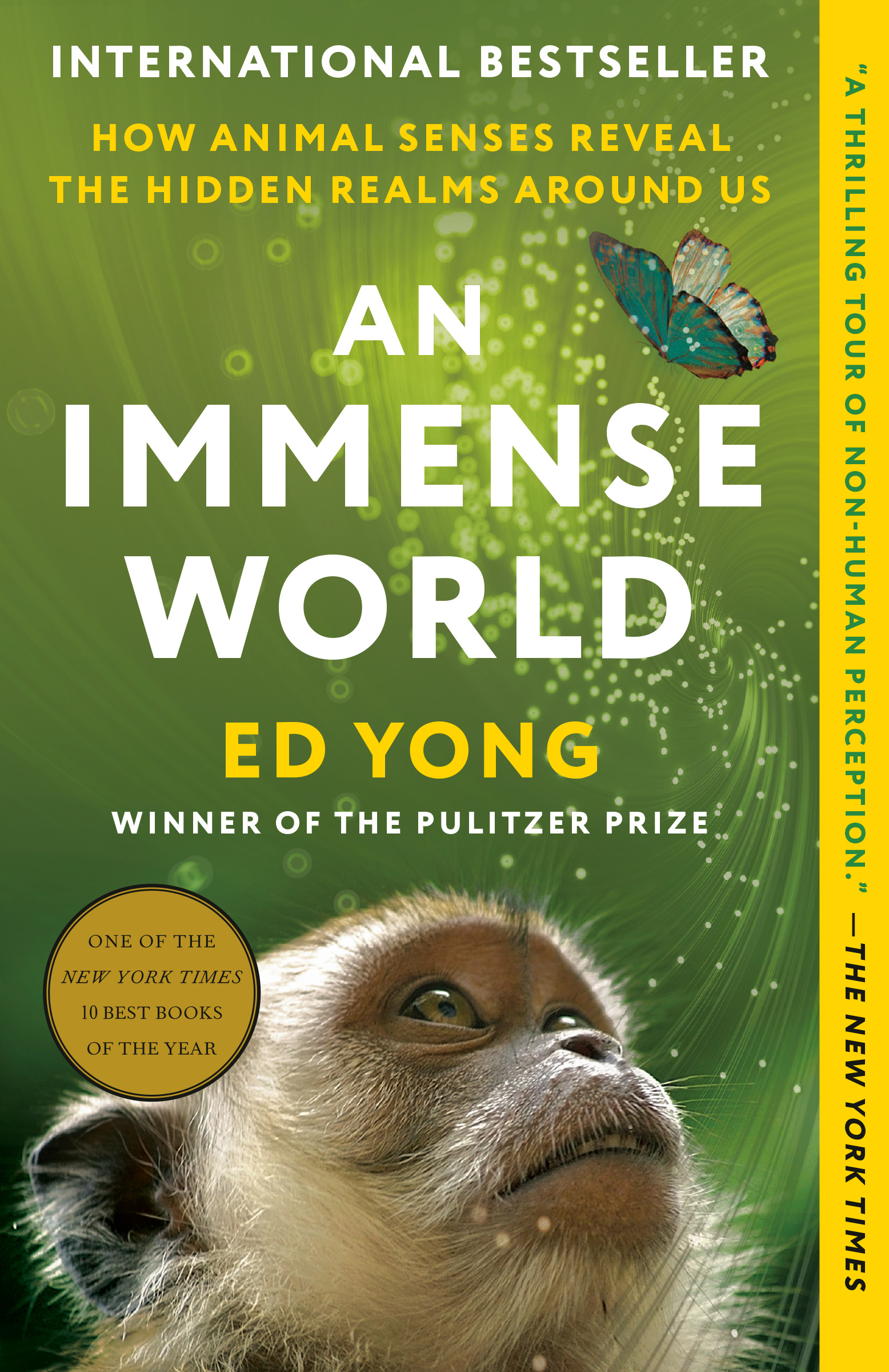 Immense World, An