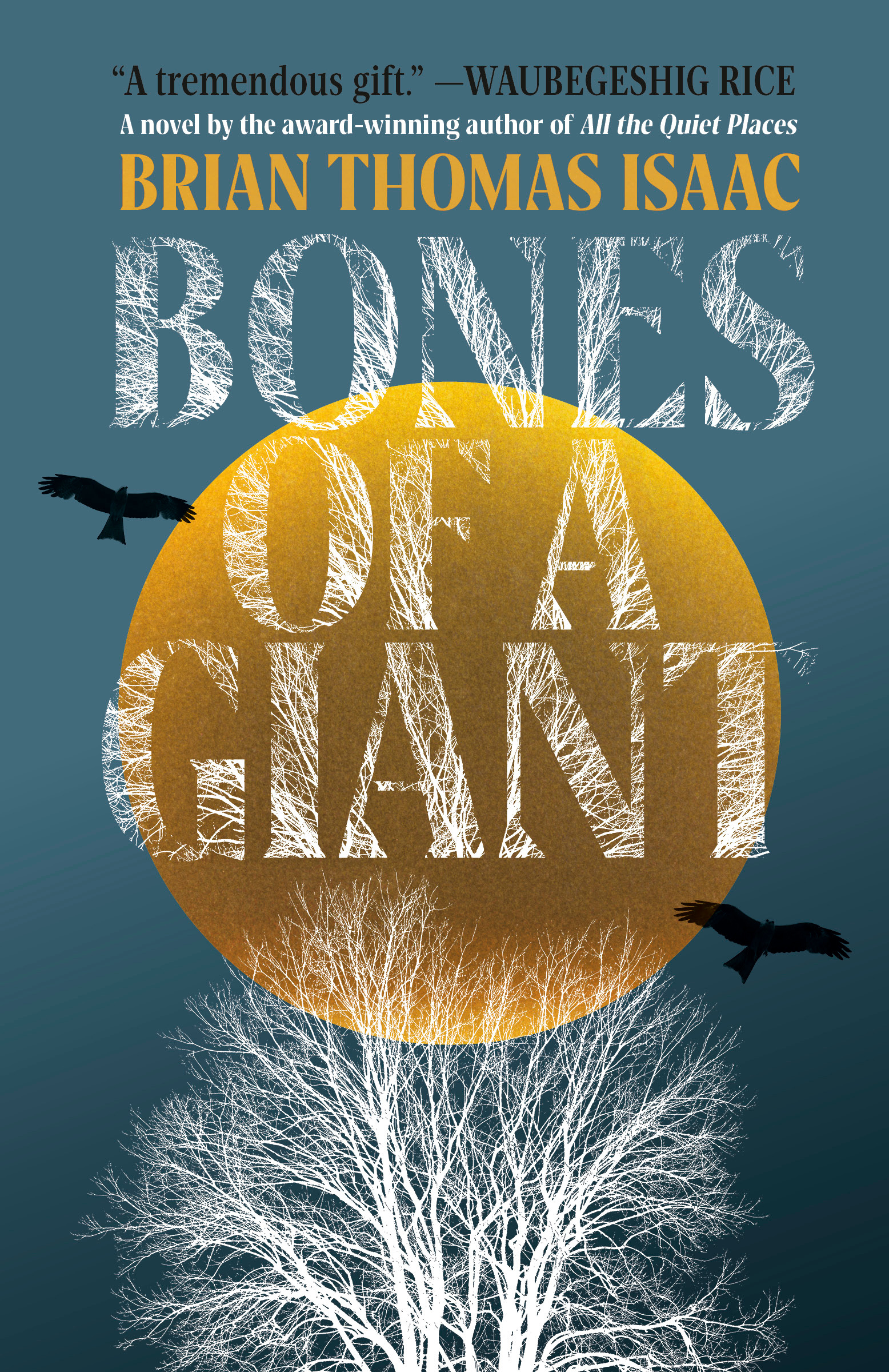 Bones of a Giant