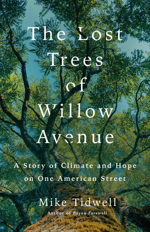 The Lost Trees of Willow Avenue