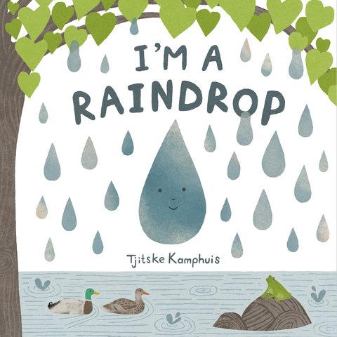 I'm a Raindrop