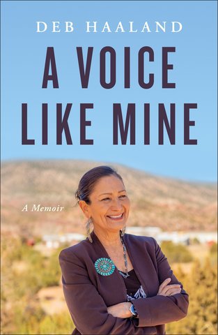 A Voice Like Mine