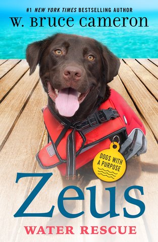 Zeus: Water Rescue