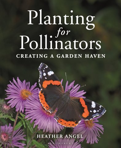 Planting for Pollinators