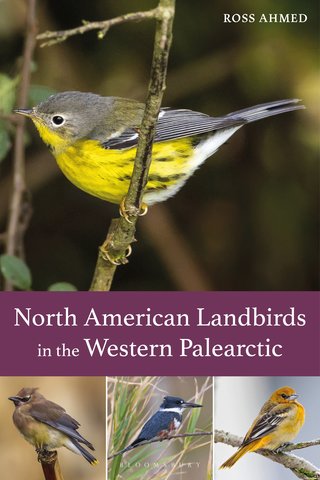 North American Landbirds in the Western Palearctic