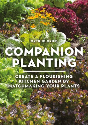 Companion Planting
