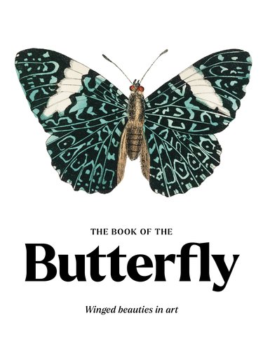 The Book of the Butterfly