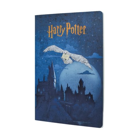 Escape to Hogwarts Notebook A4 Unlined Softcover Cahier, 80pg, 100GSM by Paperblanks (Harry Potter Collection)