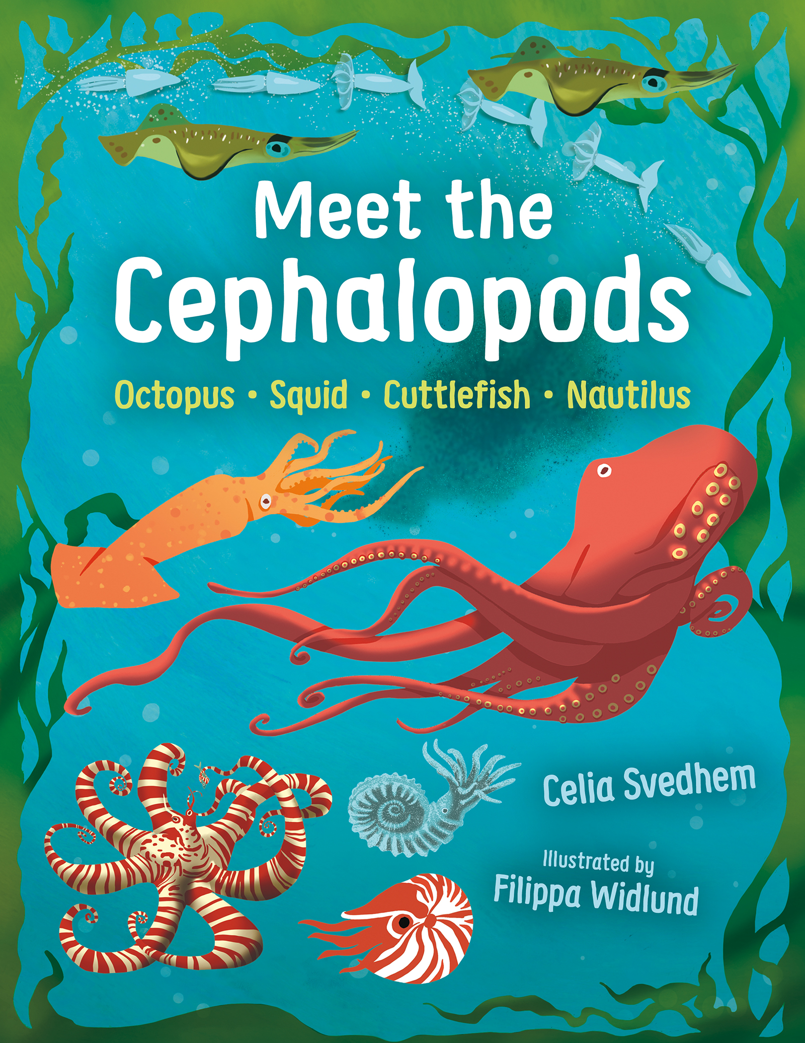 Meet the Cephalopods