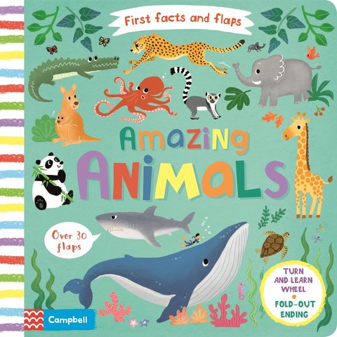 First Facts and Flaps: Amazing Animals