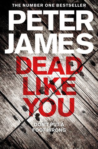 Dead Like You (Roy Grace #6)