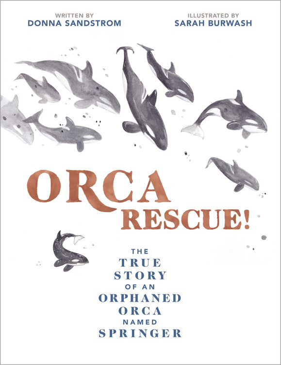 Orca Rescue