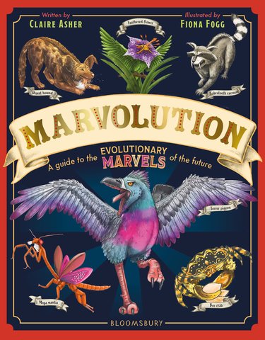 Marvolution