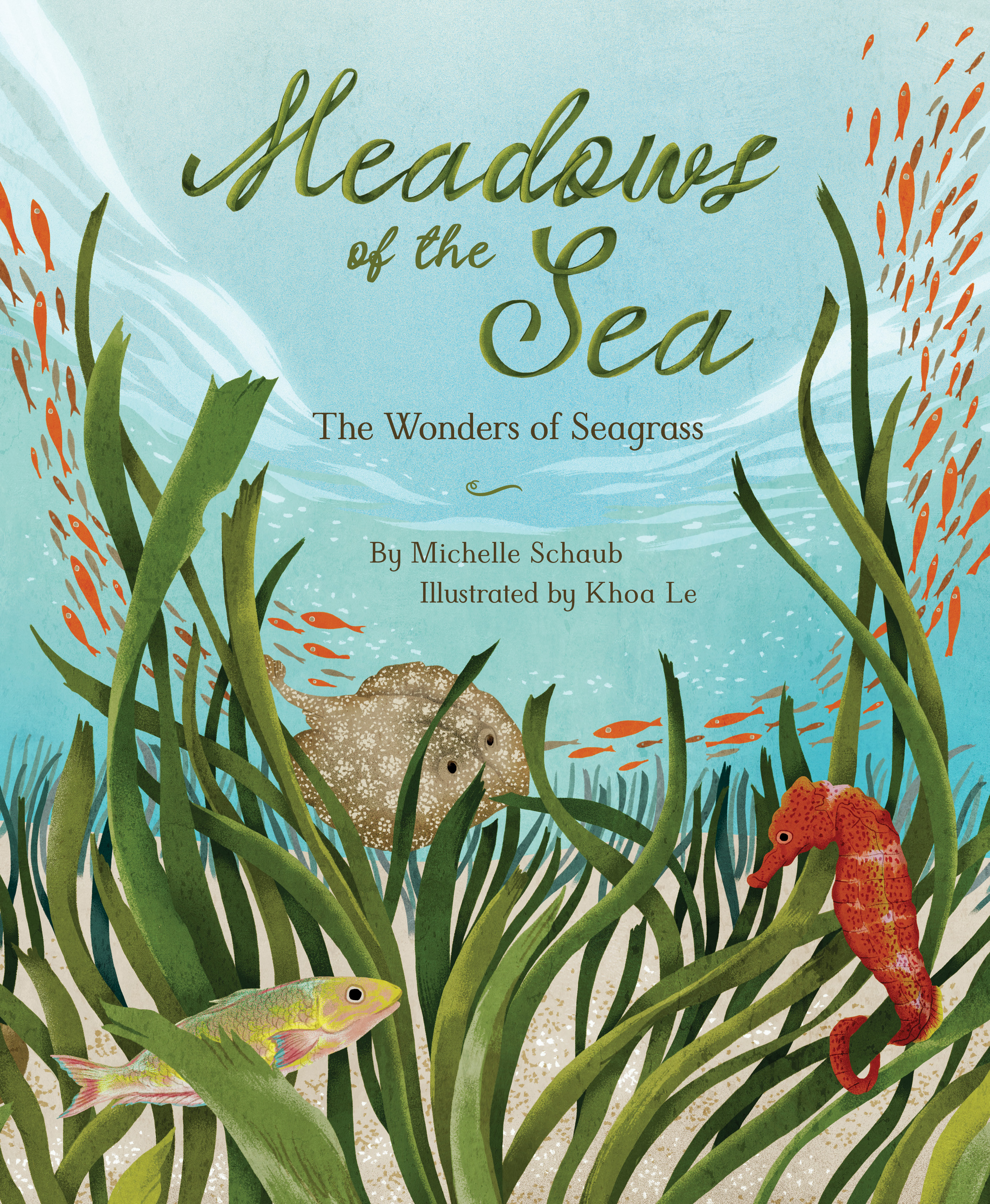 Meadows of the Sea