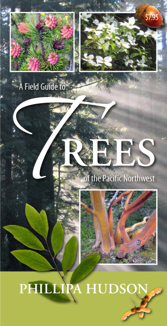 Field Guide to Trees of the Pacific Northwest