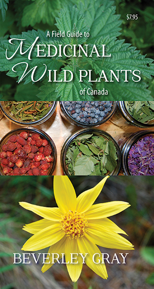 Field Guide to Medicinal Wild Plants of Canada
