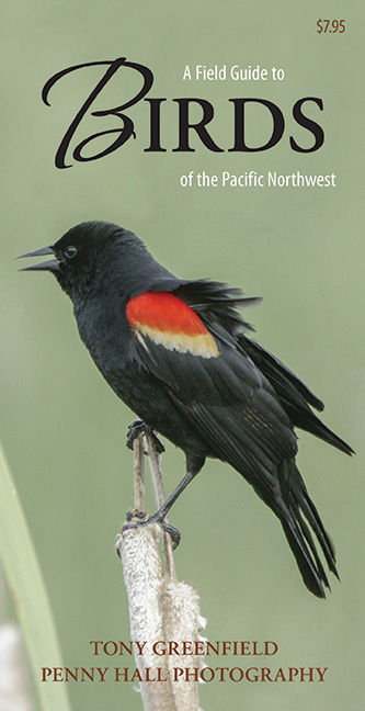 Field Guide to Birds of the Pacific Northwest