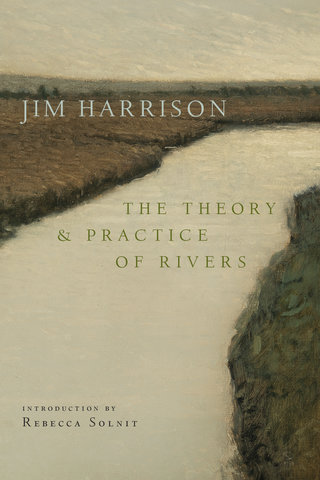 The Theory and Practice of Rivers