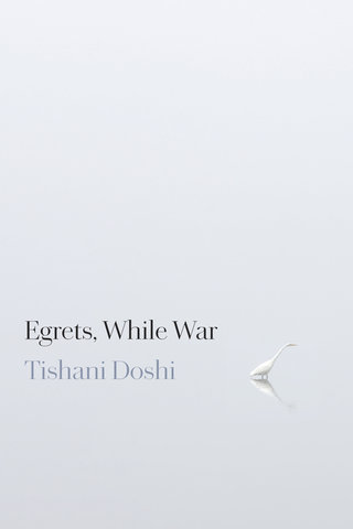 Egrets, While War
