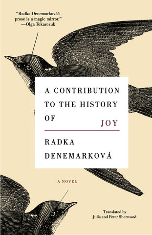 A Contribution to the History of Joy