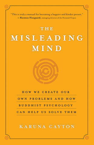 The Misleading Mind