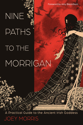 Nine Paths to the Morrigan