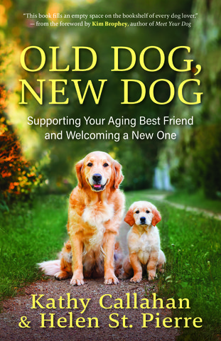 Old Dog, New Dog