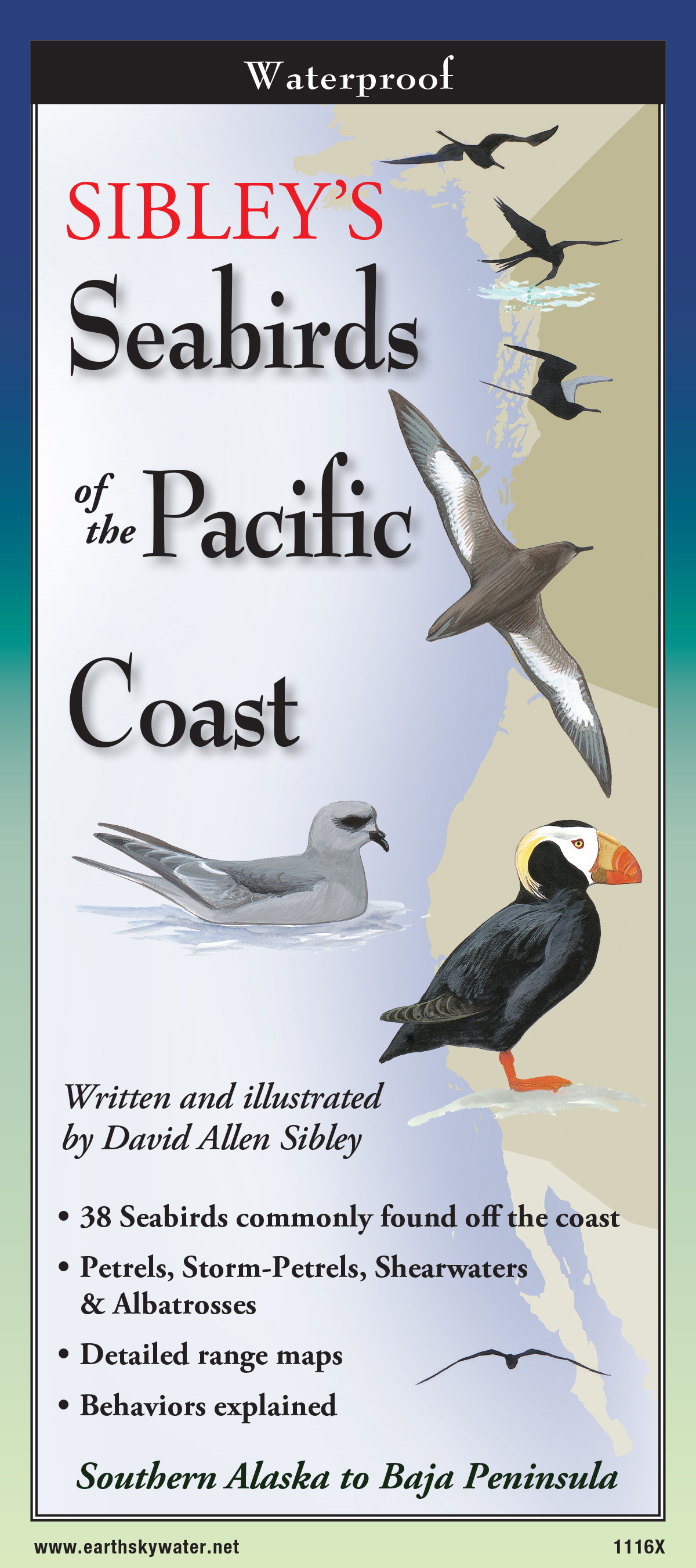 Sibley's Seabirds of the Pacific Coast - Folding Guide