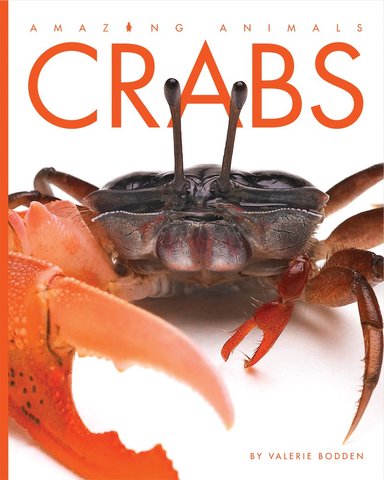 Amazing Animals: Crabs