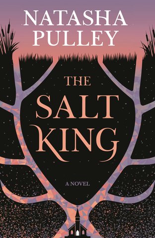 The Salt King