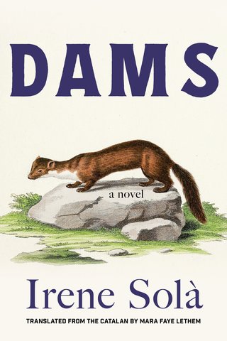 Dams