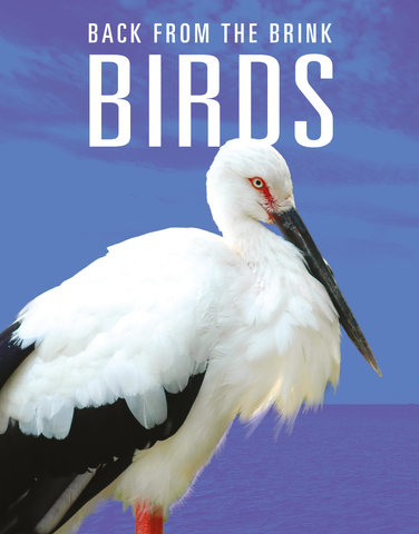 Birds: Back from the Brink