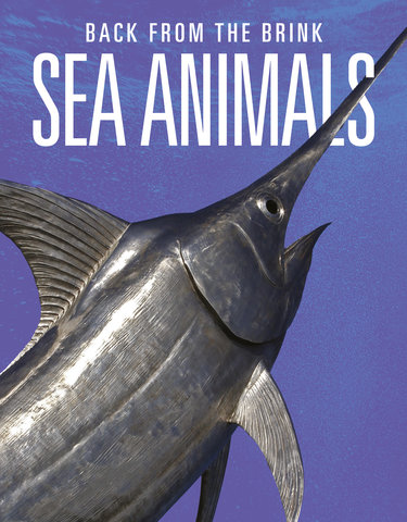 Sea Animals: Back from the Brink