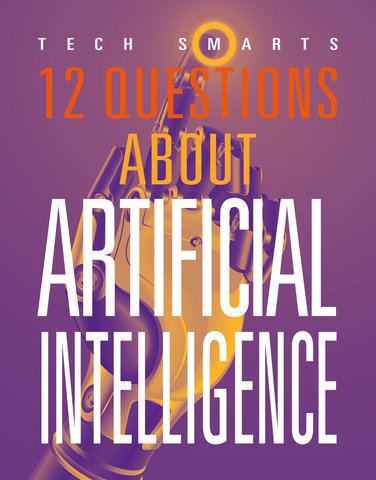 12 Questions about Artificial Intelligence