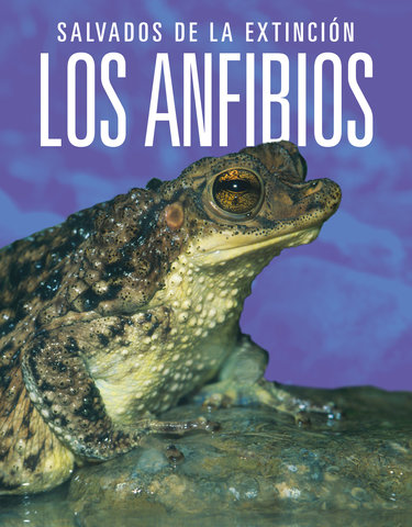 Los anfibios: Salvados de la extinción