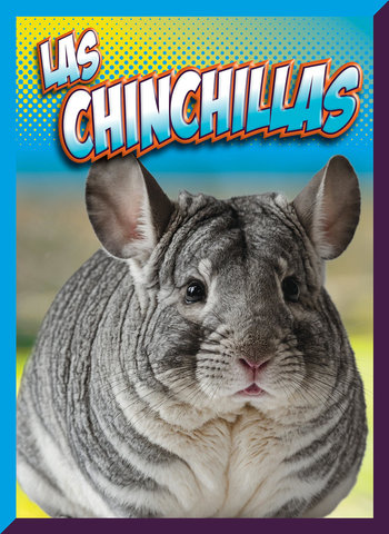 Las chinchillas
