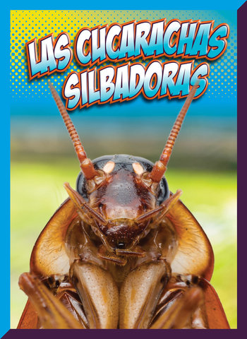 Las cucarachas silbadoras