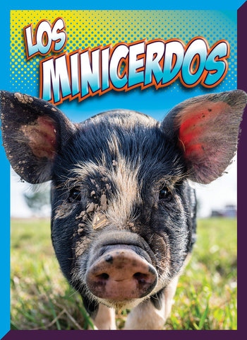 Los minicerdos