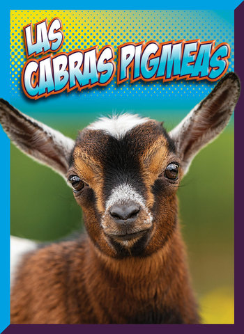 Las cabras pigmeas