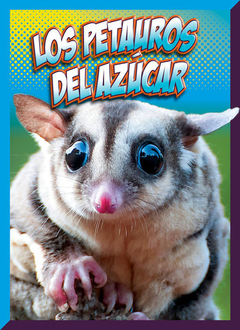 Los petauros del azúcar