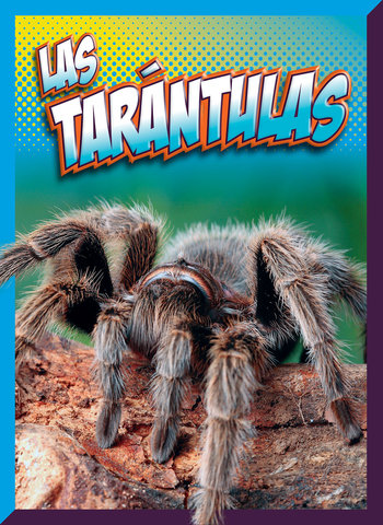 Las tarántulas