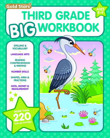 3rd Grade BIG Workbook All Subjects for Kids 8 - 9 includes 220+ Activities, Spelling, Grammar, Reading Comprehension, Writing, Math, and More