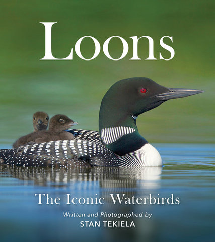 Loons