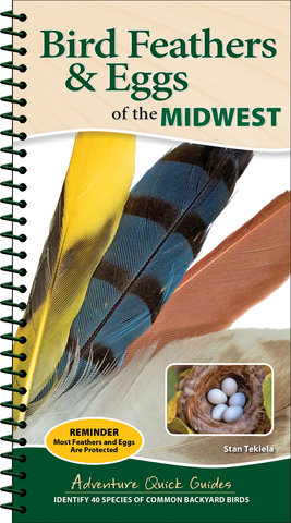 Bird Feathers & Eggs of the Midwest
